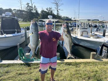 Daily Delaware Fishing Reports (April 2024).